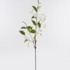 Artificial Flower Enkianthus single stem GS-10624032CT_3 Artificial Flower 38*38*99cm Enkianthus single stem GS-10624032CT 2025Mar YeahFlower is one of Chinese leading OEM manufacturers and exporters , supplying the silk flowers, wholesale artificial trees