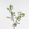 Artificial Flower 26*26*88cm Flower *2 single stem GS-77524007-Z1 2025Apr YeahFlower is one of Chinese leading OEM manufacturers and exporters , supplying the silk flowers, wholesale artificial trees