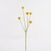 Artificial Flower 22*22*82cm Flower *6 single stem GS-77524012 2025Apr 3,000+ sqm showroom with thousands of artificial flowers, plants & trees ready for global sourcing.