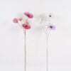 Artificial Flower Flower single stem GS-10624037CT_3 Artificial Flower 22*22*68cm Flower single stem GS-10624037CT 2025Mar YeahFlower is one of Chinese leading OEM manufacturers and exporters , supplying the silk flowers, wholesale artificial trees