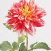 Artificial Flower Garden dahlia single stem GS-71225003-R1_4 Artificial Flower 20*20*64cm Garden dahlia single stem GS-71225003-R1 2025Mar YeahFlower is one of Chinese leading OEM manufacturers and exporters , supplying the silk flowers, wholesale artificial trees