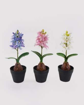 Artificial Flower 10*10*29cm Hyacinth in PP pot GS-03324053 2025Mar YeahFlower is one of Chinese leading OEM manufacturers and exporters , supplying the silk flowers, wholesale artificial trees Artificial Flower 10*10*29cm Hyacinth in PP pot GS-03324053 2025Mar YeahFlower is one of Chinese leading OEM manufacturers and exporters , supplying the silk flowers, wholesale artificial trees