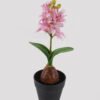Artificial Flower Hyacinth in PP pot GS-03324053_2 Artificial Flower 10*10*29cm Hyacinth in PP pot GS-03324053 2025Mar YeahFlower is one of Chinese leading OEM manufacturers and exporters , supplying the silk flowers, wholesale artificial trees