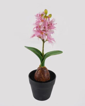 Artificial Flower 10*10*29cm Hyacinth in PP pot GS-03324053 2025Mar YeahFlower is one of Chinese leading OEM manufacturers and exporters , supplying the silk flowers, wholesale artificial trees Artificial Flower 10*10*29cm Hyacinth in PP pot GS-03324053 2025Mar YeahFlower is one of Chinese leading OEM manufacturers and exporters , supplying the silk flowers, wholesale artificial trees