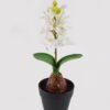 Artificial Flower Hyacinth in PP pot GS-03324053_3 Artificial Flower 10*10*29cm Hyacinth in PP pot GS-03324053 2025Mar YeahFlower is one of Chinese leading OEM manufacturers and exporters , supplying the silk flowers, wholesale artificial trees