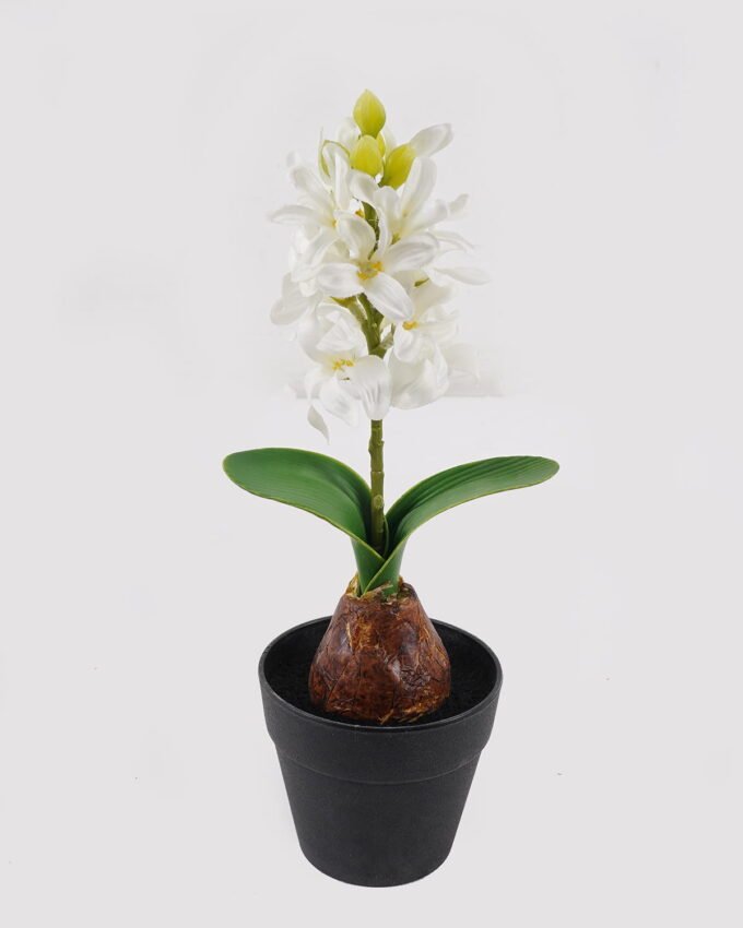 Artificial Flower Hyacinth in PP pot GS-03324053_3 Artificial Flower 10*10*29cm Hyacinth in PP pot GS-03324053 2025Mar YeahFlower is one of Chinese leading OEM manufacturers and exporters , supplying the silk flowers, wholesale artificial trees