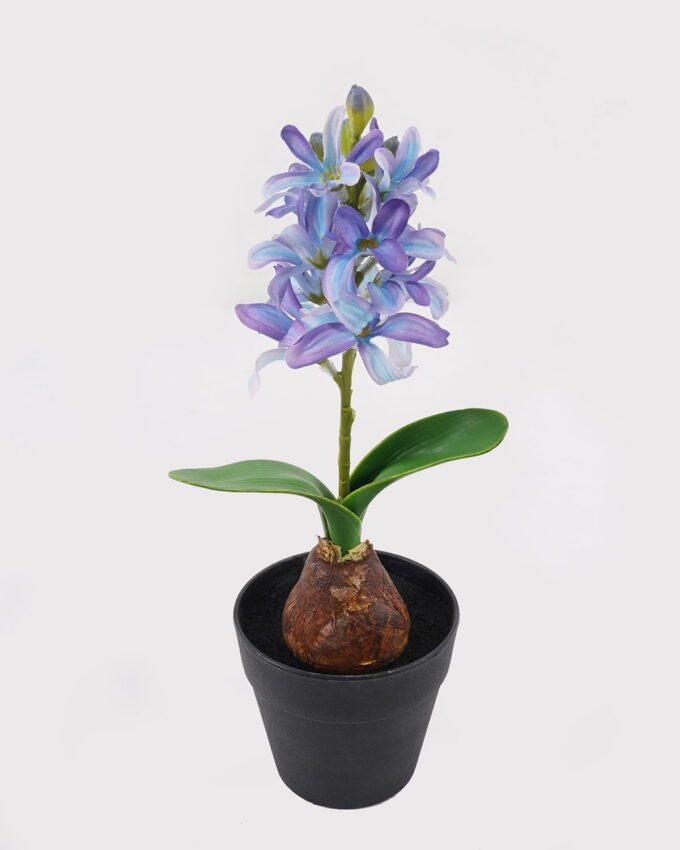 Artificial Flower Hyacinth in PP pot GS-03324053_4 Artificial Flower 10*10*29cm Hyacinth in PP pot GS-03324053 2025Mar YeahFlower is one of Chinese leading OEM manufacturers and exporters , supplying the silk flowers, wholesale artificial trees