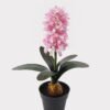 Artificial Flower 22*12*34cm Hyacinthus in pp pot GS-03318262R-B1 2025Mar YeahFlower is one of Chinese leading OEM manufacturers and exporters , supplying the silk flowers, wholesale artificial trees