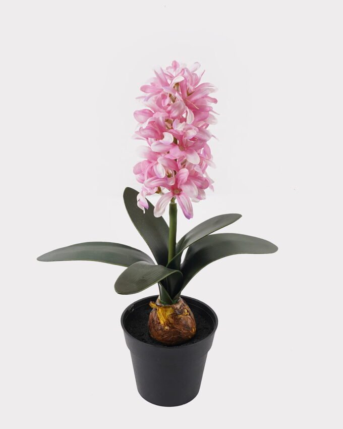 Artificial Flower 22*12*34cm Hyacinthus in pp pot GS-03318262R-B1 2025Mar YeahFlower is one of Chinese leading OEM manufacturers and exporters , supplying the silk flowers, wholesale artificial trees