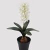 Artificial Flower 22*12*34cm Hyacinthus in pp pot GS-03318262R-B1 2025Mar YeahFlower is one of Chinese leading OEM manufacturers and exporters , supplying the silk flowers, wholesale artificial trees