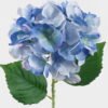 Artificial Flower 76*18*9cm Hydrangea single stem GS-77825002DUP 2025Apr YeahFlower is one of Chinese leading OEM manufacturers and exporters , supplying the silk flowers, wholesale artificial trees