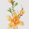 Artificial Flower Magnolia denudata 3 single stem GS-58825001-Y1_1 Artificial Flower 16*16*73cm Magnolia denudata *3 single stem GS-58825001-Y1 2025Mar YeahFlower is one of Chinese leading OEM manufacturers and exporters , supplying the silk flowers, wholesale artificial trees