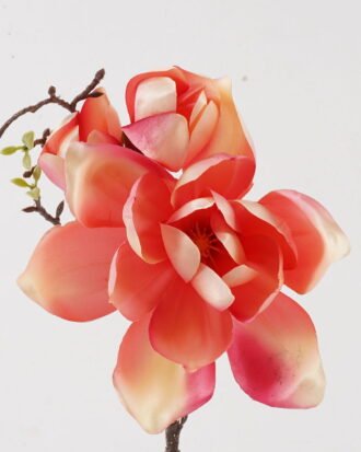 Artificial Flower 17*17*51cm Magnolia denudata *3 single stem GS-58825002 2025Mar YeahFlower is one of Chinese leading OEM manufacturers and exporters , supplying the silk flowers, wholesale artificial trees Artificial Flower 17*17*51cm Magnolia denudata *3 single stem GS-58825002 2025Mar YeahFlower is one of Chinese leading OEM manufacturers and exporters , supplying the silk flowers, wholesale artificial trees