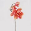 Artificial Flower Magnolia denudata 3 single stem GS-58825002_3 Artificial Flower 17*17*51cm Magnolia denudata *3 single stem GS-58825002 2025Mar YeahFlower is one of Chinese leading OEM manufacturers and exporters , supplying the silk flowers, wholesale artificial trees