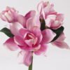 Artificial Flower Magnolia denudata 6 bundle GS-58825004_2 Artificial Flower 25*25*44cm Magnolia denudata *6 bundle GS-58825004 2025Mar YeahFlower is one of Chinese leading OEM manufacturers and exporters , supplying the silk flowers, wholesale artificial trees