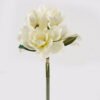 Artificial Flower Magnolia denudata 6 bundle GS-58825004_4 Artificial Flower 25*25*44cm Magnolia denudata *6 bundle GS-58825004 2025Mar YeahFlower is one of Chinese leading OEM manufacturers and exporters , supplying the silk flowers, wholesale artificial trees