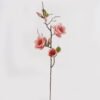 Artificial Flower Magnolia single stem GS-00525007DUP-P1 Artificial Flower Magnolia single stem GS-00525007DUP-P1 2025Mar YeahFlower is one of Chinese leading OEM manufacturers and exporters , supplying the silk flowers, wholesale artificial trees