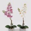 Artificial Flower 32*11*40cm Orchid in Cement pot GS-03324052 2025Mar YeahFlower is one of Chinese leading OEM manufacturers and exporters , supplying the silk flowers, wholesale artificial trees