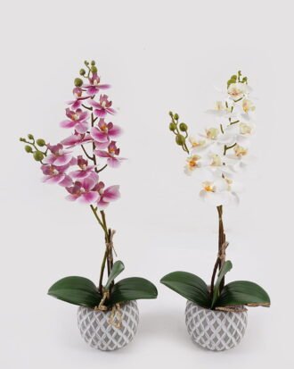 Artificial Flower 32*11*40cm Orchid in Cement pot GS-03324052