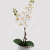 Artificial Flower 32*11*40cm Orchid in Cement pot GS-03324052 2025Mar YeahFlower is one of Chinese leading OEM manufacturers and exporters , supplying the silk flowers, wholesale artificial trees