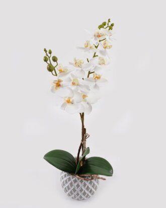 Artificial Flower 32*11*40cm Orchid in Cement pot GS-03324052 2025Mar YeahFlower is one of Chinese leading OEM manufacturers and exporters , supplying the silk flowers, wholesale artificial trees Artificial Flower 32*11*40cm Orchid in Cement pot GS-03324052 2025Mar YeahFlower is one of Chinese leading OEM manufacturers and exporters , supplying the silk flowers, wholesale artificial trees