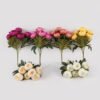 Artificial Flower Peony 7 bush GS-37925002DUP_1 Artificial Flower 21*42cm Peony *7 bush GS-37925002DUP 2025Mar YeahFlower is one of Chinese leading OEM manufacturers and exporters , supplying the silk flowers, wholesale artificial trees