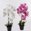 Artificial Flower Phalaenopsis 4 in PP pot GS-76324001CT-R_1 Artificial Flower 36*36*81cm Phalaenopsis *4 in PP pot GS-76324001CT-R 2025Mar YeahFlower is one of Chinese leading OEM manufacturers and exporters , supplying the silk flowers, wholesale artificial trees
