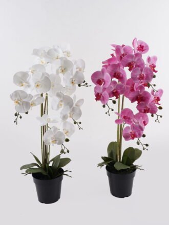 Artificial Plant 40*40*55cm Flower in PP pot/26 lvs GS-41925027 2025May YeahFlower is one of Chinese leading OEM manufacturers and exporters , supplying the silk flowers, wholesale artificial trees