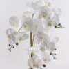 Artificial Flower Phalaenopsis 4 in PP pot GS-76324001CT-R_2 Artificial Flower 36*36*81cm Phalaenopsis *4 in PP pot GS-76324001CT-R 2025Mar YeahFlower is one of Chinese leading OEM manufacturers and exporters , supplying the silk flowers, wholesale artificial trees