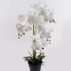 Artificial Flower Phalaenopsis 4 in PP pot GS-76324001CT-R_3 Artificial Flower 36*36*81cm Phalaenopsis *4 in PP pot GS-76324001CT-R 2025Mar YeahFlower is one of Chinese leading OEM manufacturers and exporters , supplying the silk flowers, wholesale artificial trees