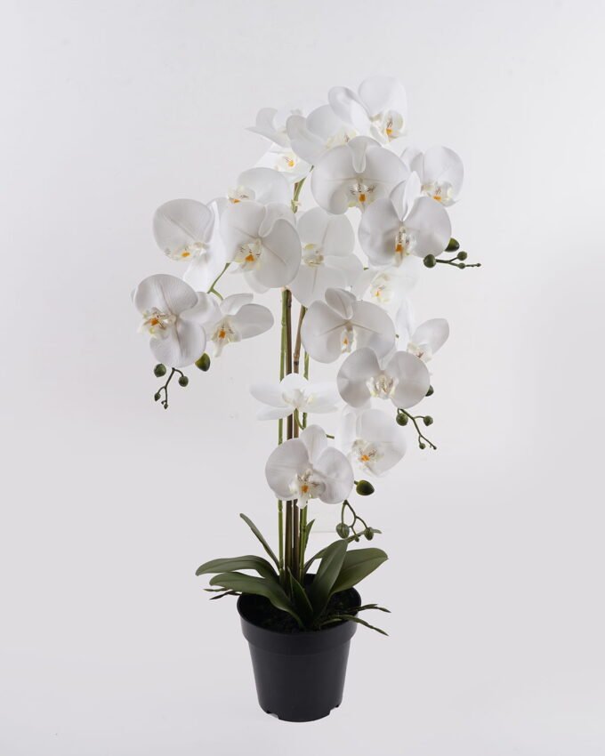 Artificial Flower Phalaenopsis 4 in PP pot GS-76324001CT-R_3 Artificial Flower 36*36*81cm Phalaenopsis *4 in PP pot GS-76324001CT-R 2025Mar YeahFlower is one of Chinese leading OEM manufacturers and exporters , supplying the silk flowers, wholesale artificial trees