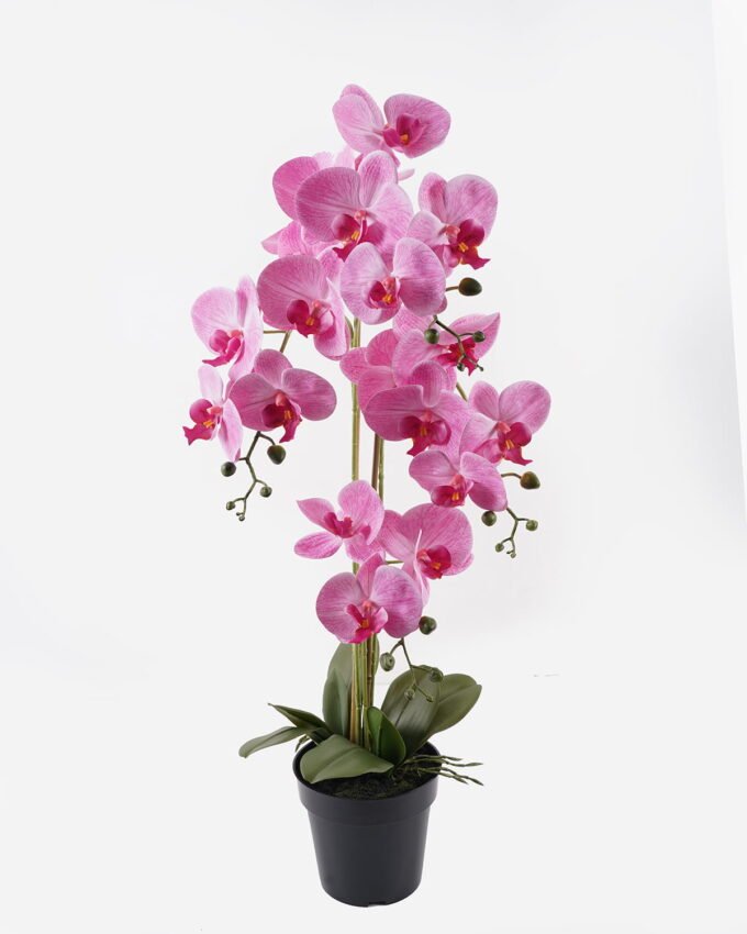 Artificial Flower Phalaenopsis 4 in PP pot GS-76324001CT-R_4 Artificial Flower 36*36*81cm Phalaenopsis *4 in PP pot GS-76324001CT-R 2025Mar YeahFlower is one of Chinese leading OEM manufacturers and exporters , supplying the silk flowers, wholesale artificial trees