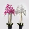 Artificial Flower 66*66*114cm Phalaenopsis *7 in PP pot GS-76324003CT 2025Mar YeahFlower is one of Chinese leading OEM manufacturers and exporters , supplying the silk flowers, wholesale artificial trees