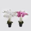 Artificial Flower 60*60*76cm Phalaenopsis *7 in PP pot GS-76324005CT 2025Mar YeahFlower is one of Chinese leading OEM manufacturers and exporters , supplying the silk flowers, wholesale artificial trees