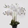 Artificial Flower 60*60*76cm Phalaenopsis *7 in PP pot GS-76324005CT 2025Mar YeahFlower is one of Chinese leading OEM manufacturers and exporters , supplying the silk flowers, wholesale artificial trees