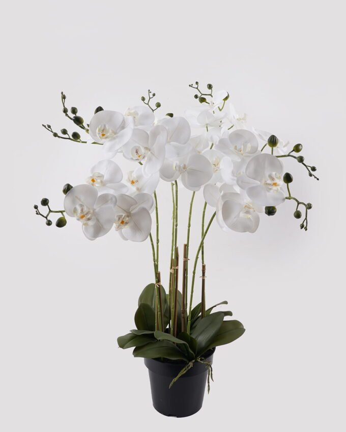 Artificial Flower 60*60*76cm Phalaenopsis *7 in PP pot GS-76324005CT 2025Mar YeahFlower is one of Chinese leading OEM manufacturers and exporters , supplying the silk flowers, wholesale artificial trees