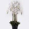 Artificial Flower 60*60*101cm Phalaenopsis *8 in PP pot GS-76324002CT-R-W1 2025Mar YeahFlower is one of Chinese leading OEM manufacturers and exporters , supplying the silk flowers, wholesale artificial trees