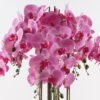 Artificial Flower Phalaenopsis 8 in PP pot GS-76324002CT-R_1 Artificial Flower 60*60*101cm Phalaenopsis *8 in PP pot GS-76324002CT-R 2025Mar YeahFlower is one of Chinese leading OEM manufacturers and exporters , supplying the silk flowers, wholesale artificial trees