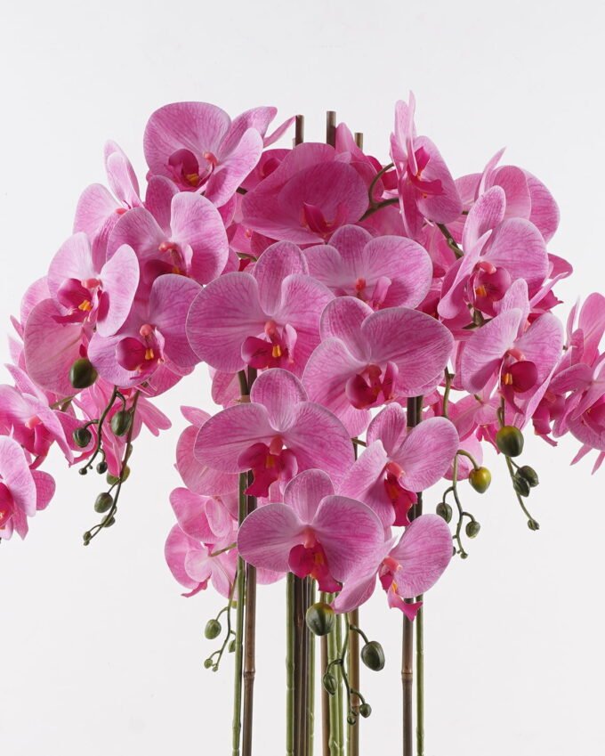 Artificial Flower Phalaenopsis 8 in PP pot GS-76324002CT-R_1 Artificial Flower 60*60*101cm Phalaenopsis *8 in PP pot GS-76324002CT-R 2025Mar YeahFlower is one of Chinese leading OEM manufacturers and exporters , supplying the silk flowers, wholesale artificial trees