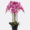 Artificial Flower Phalaenopsis 8 in PP pot GS-76324002CT-R_2 Artificial Flower 60*60*101cm Phalaenopsis *8 in PP pot GS-76324002CT-R 2025Mar YeahFlower is one of Chinese leading OEM manufacturers and exporters , supplying the silk flowers, wholesale artificial trees