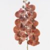 Artificial Flower 17*17*95cm Phalaenopsis *9 single stem GS-64924011R-K1 2025Mar YeahFlower is one of Chinese leading OEM manufacturers and exporters , supplying the silk flowers, wholesale artificial trees
