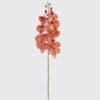 Artificial Flower Phalaenopsis 9 single stem GS-64924011R-O1_4 Artificial Flower 17*17*95cm Phalaenopsis *9 single stem GS-64924011R-O1 2025Mar YeahFlower is one of Chinese leading OEM manufacturers and exporters , supplying the silk flowers, wholesale artificial trees