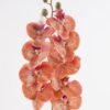 Artificial Flower Phalaenopsis 9 single stem GS-64924011R-O1_5 Artificial Flower 17*17*95cm Phalaenopsis *9 single stem GS-64924011R-O1 2025Mar YeahFlower is one of Chinese leading OEM manufacturers and exporters , supplying the silk flowers, wholesale artificial trees