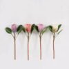 Artificial Flower Protea cynaroides Single Stem 4 lvs GS-77124005_1 Artificial Flower 17*17*52cm Protea cynaroides Single Stem/4 lvs GS-77124005 2025Mar YeahFlower is one of Chinese leading OEM manufacturers and exporters , supplying the silk flowers, wholesale artificial trees