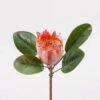 Artificial Flower Protea cynaroides Single Stem 4 lvs GS-77124005_2 Artificial Flower 17*17*52cm Protea cynaroides Single Stem/4 lvs GS-77124005 2025Mar YeahFlower is one of Chinese leading OEM manufacturers and exporters , supplying the silk flowers, wholesale artificial trees