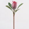 Artificial Flower Protea cynaroides Single Stem 4 lvs GS-77124005_4 Artificial Flower 17*17*52cm Protea cynaroides Single Stem/4 lvs GS-77124005 2025Mar YeahFlower is one of Chinese leading OEM manufacturers and exporters , supplying the silk flowers, wholesale artificial trees