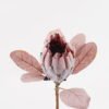 Artificial Flower 20*20*55cm Protea cynaroides Single Stem/6 lvs GS-77124003-O1 2025Mar YeahFlower is one of Chinese leading OEM manufacturers and exporters , supplying the silk flowers, wholesale artificial trees