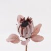 Artificial Flower Protea cynaroides Single Stem 6 lvs GS-77124003_2 Artificial Flower 20*20*55cm Protea cynaroides Single Stem/6 lvs GS-77124003 2025Mar YeahFlower is one of Chinese leading OEM manufacturers and exporters , supplying the silk flowers, wholesale artificial trees