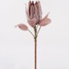 Artificial Flower Protea cynaroides Single Stem 6 lvs GS-77124003_3 Artificial Flower 20*20*55cm Protea cynaroides Single Stem/6 lvs GS-77124003 2025Mar YeahFlower is one of Chinese leading OEM manufacturers and exporters , supplying the silk flowers, wholesale artificial trees
