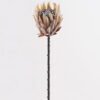 Artificial Flower Protea cynaroides Single Stem GS-77124004-K3 Artificial Flower 12*12*68cm Protea cynaroides Single Stem GS-77124004-K3 2025Mar YeahFlower is one of Chinese leading OEM manufacturers and exporters , supplying the silk flowers, wholesale artificial trees